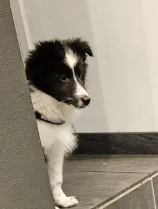 Leentje 02 New kid in town